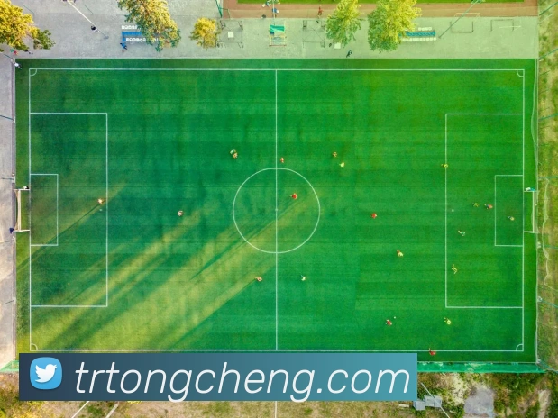 未来规划